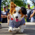 Conquering Running Events in Katy, Texas: An Expert's Guide